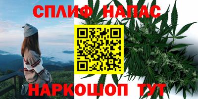 ГАЛЛЮЦИНОГЕННЫЕ ГРИБЫ Лесосибирск